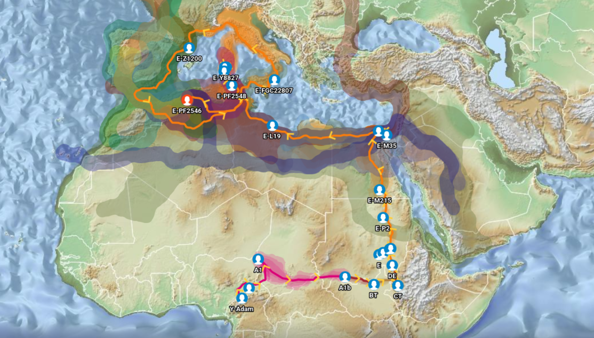 E-M81 Berber Marker Distribution Across North Africa