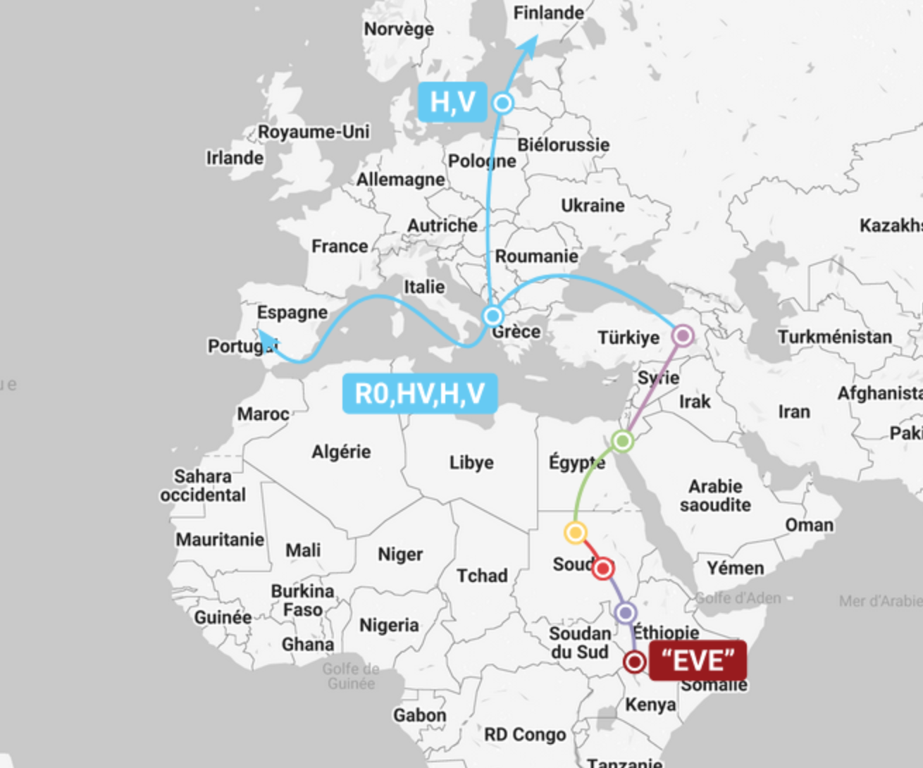 H haplogroup distribution map relevant to North African mitogenome analyses